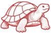 Logo Żółw