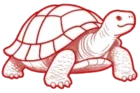 Logo Żółw