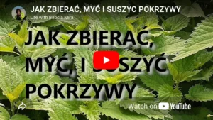 Zbieranie pokrzyw: odnośnik do wideo